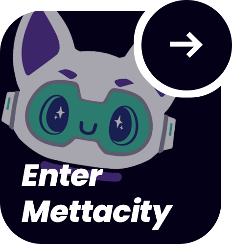 ENTER METTACITY